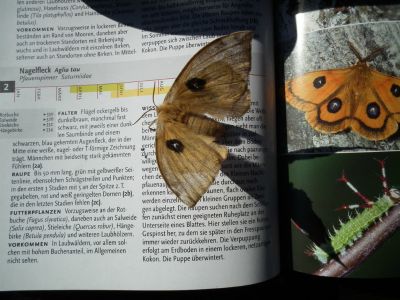 dscf7361.jpg