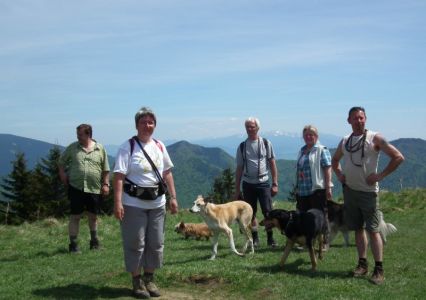 dscf7378.jpg