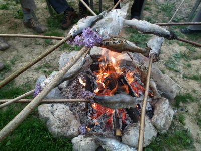 dscf7571.jpg