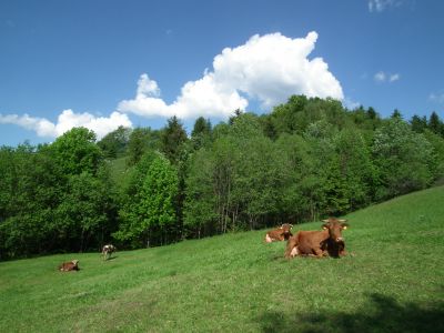 dscf7580.jpg