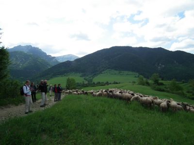 dscf7628.jpg