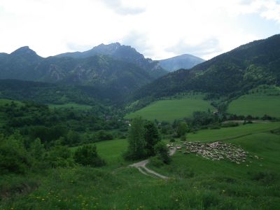 dscf7629.jpg