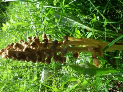 dscf7635.jpg