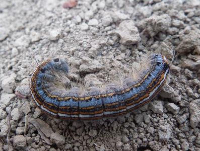 dscf9140.jpg