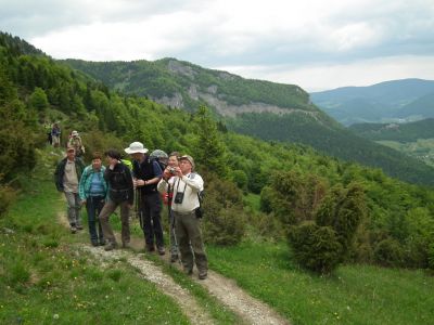 dscf9170.jpg