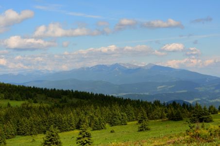 dsc_0058.jpg