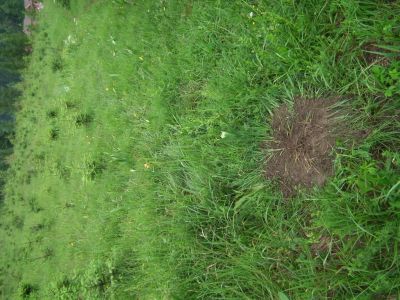 dscf1144.jpg
