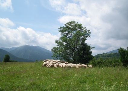 dscf3249.jpg
