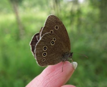 dscf3260.jpg