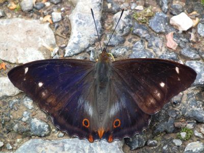 dscf3290.jpg