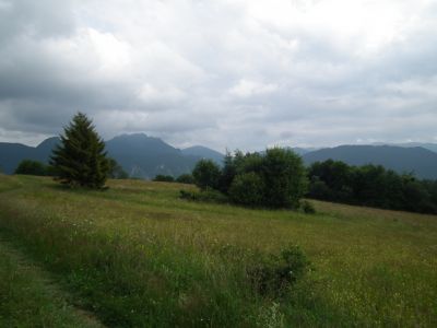 dscf3297.jpg