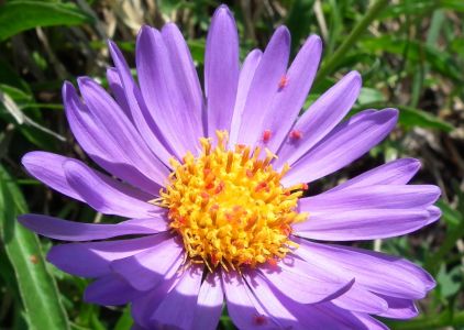 dscf5107.jpg