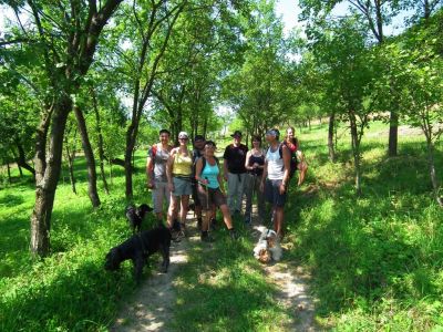 dscf5129.jpg