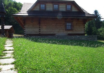 dscf5130.jpg