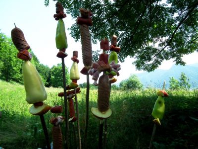 dscf5137.jpg