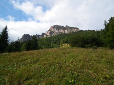 dscf5714.jpg