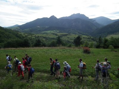 dscf5729.jpg