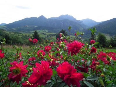 dscf5731.jpg