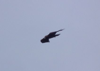 dscf5743.jpg