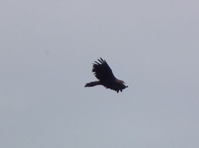 dscf5758.jpg
