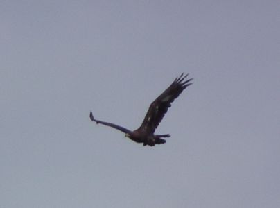 dscf5760.jpg