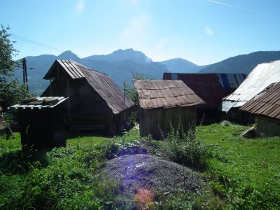 dscf5935.jpg