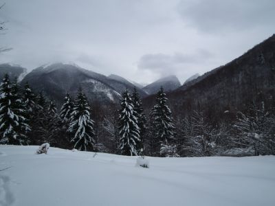 dscf6756.jpg