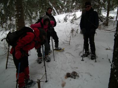 dscf6778.jpg