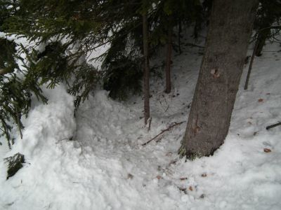 dscf6795.jpg