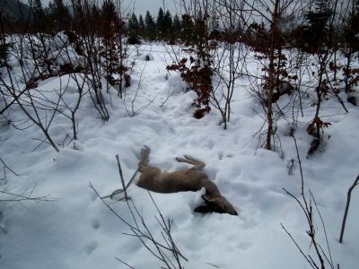 dscf6816.jpg