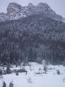 dscf6843.jpg