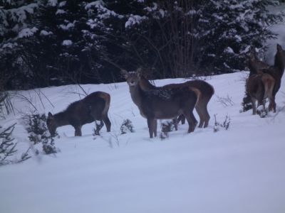 dscf6846.jpg