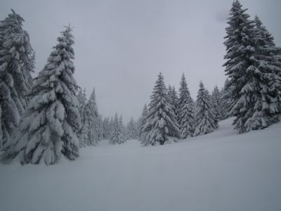 dscf6869.jpg