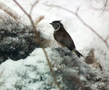dscf6888.jpg