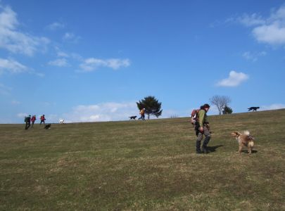 dscf8245.jpg