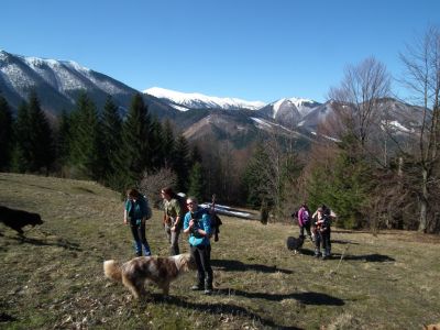 dscf8250.jpg