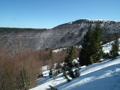 dscf8266.jpg