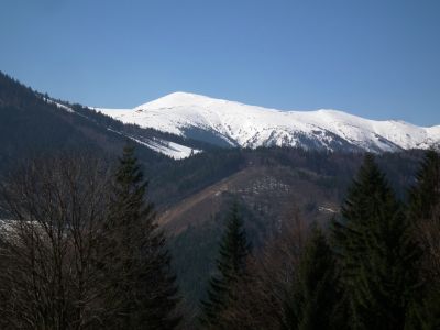 dscf8278.jpg