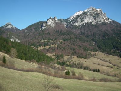 dscf8314.jpg