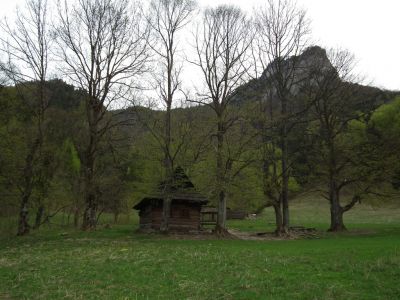 dscf8441.jpg