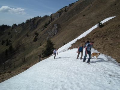 dscf8480.jpg