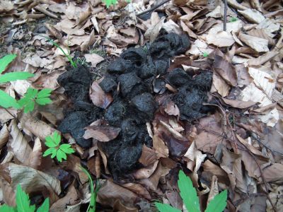 dscf8578.jpg