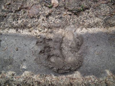 dscf8580.jpg