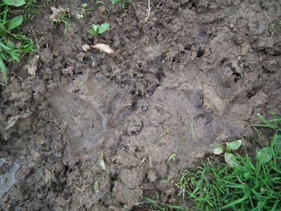 dscf8582.jpg