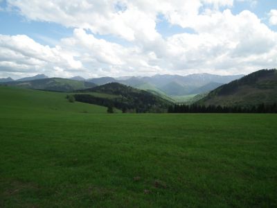 dscf8593.jpg