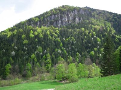 dscf8615.jpg