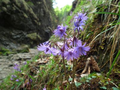 dscf8635.jpg