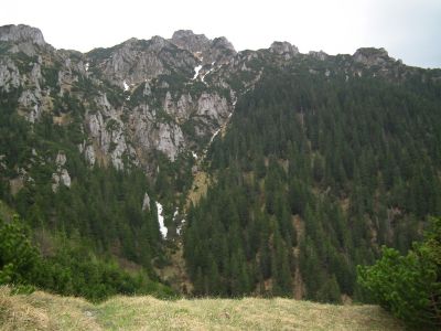 dscf8648.jpg