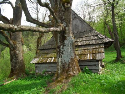 dscf8654.jpg