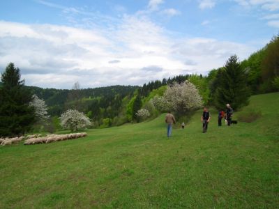 dscf8660.jpg